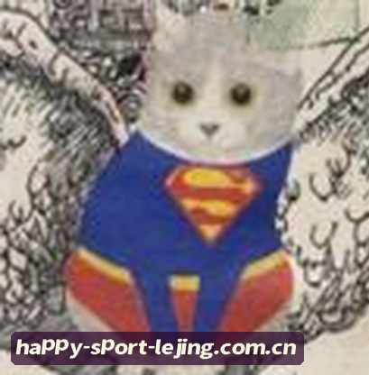 陈静